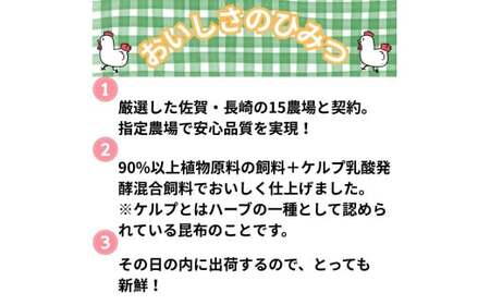 小分けで便利!いろいろな料理に大活躍　佐賀県ブランド鶏ありたどりもも肉合計3kg300g×10P 188-L047