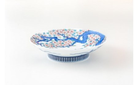 【伊万里焼】色鍋島桜樹文5寸高台皿 023-H626