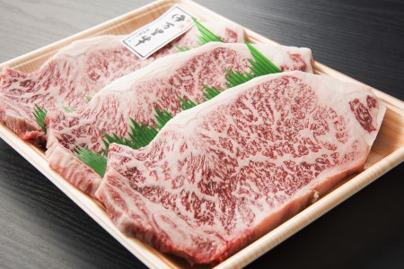 伊万里牛 サーロインステーキ 4枚 合計1.2kg 001-J493