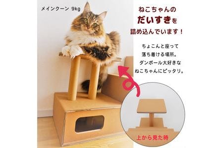 【ペット遊具】おもちゃ キャットタワー 猫用 ネコ N142