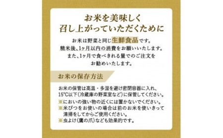 【定期便】《無洗米》さがびより５kg×１２回 B704