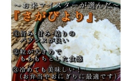 【無洗米】お米マイスター厳選!!食べ比べ【さがびより2kg・夢しずく2kg】 B685