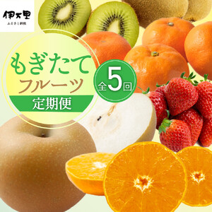 もぎたてフルーツ 定期便【5回便】みかん いちご 梨など5種 B181