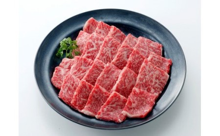 伊万里牛 ロース 焼肉用 061-J1873