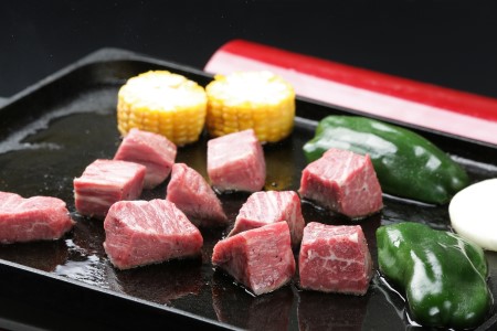 【訳あり】 サイズは不揃いでも味は一級品！佐賀牛ヒレカットステーキ 1kg 真空パックお届け 150-J657