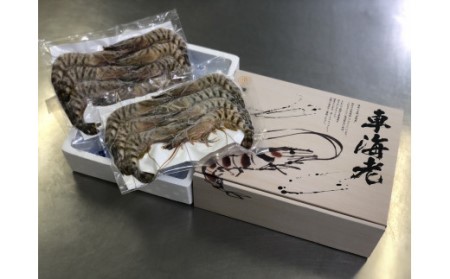 伊万里産 お刺身用冷凍ジャンボ車海老（250g×2） 010-C166
