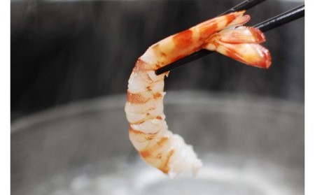 伊万里産 お刺身用冷凍ジャンボ車海老（250g×2） 010-C166