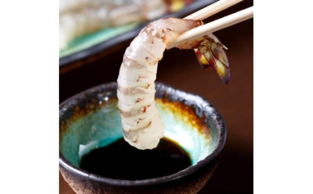 伊万里産 お刺身用冷凍ジャンボ車海老（250g×2） 010-C166