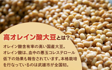 【12回定期便】からだにうれしい 米味噌 1kg（500g×2個）高オレイン酸大豆使用 なるせみそ /角味噌醤油 [UAX012] 味噌 みそ 調味料 大豆