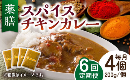 【6回定期便】薬膳スパイスチキンカレー 4食 /自然庵 [UCQ005] カレー