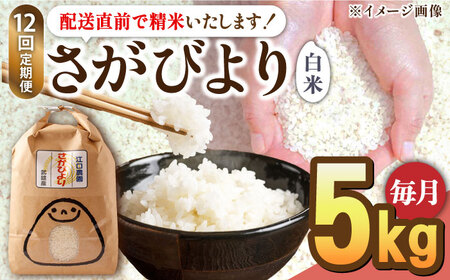 12回定期便】令和5年産 さがびより 白米 5kg 配送前精米/江口農園