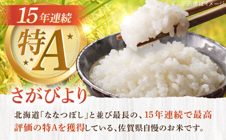 【3回定期便】さがびより 白米 10kg/江口農園[UBF027] さがびより