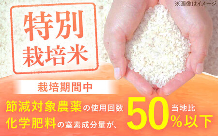 【3回定期便】さがびより 白米 10kg/江口農園[UBF027] さがびより