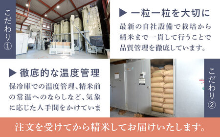 【3回定期便】さがびより 白米 10kg/江口農園[UBF027] さがびより