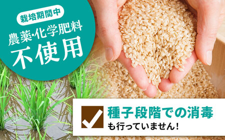 【12回定期便】栽培期間中 農薬・化学肥料不使用 自然米 玄米 3kg（ヒノヒカリ 1kg×3袋）/自然庵[UCQ024]
