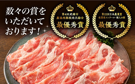【6回定期便】肉汁たっぷり 若楠三元豚ハンバーグ 150g×8個 /ナチュラルフーズ[UBH057]