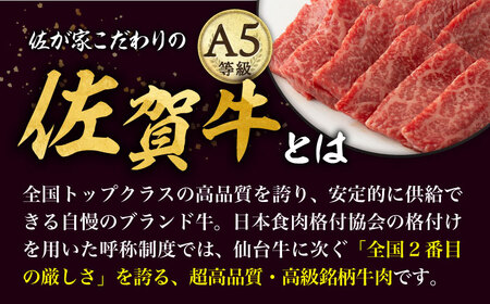 【3回定期便】A5等級 佐賀牛 焼肉用 モモ 600g（300g×2パック）/ナチュラルフーズ[UBH071]