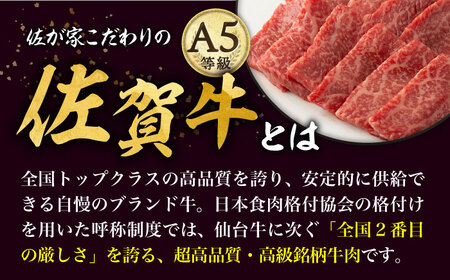 【2026年2月開始】【12回定期便】A5等級 佐賀牛 焼肉用 モモ 600g（300g×2パック）/ナチュラルフーズ [UBH073]