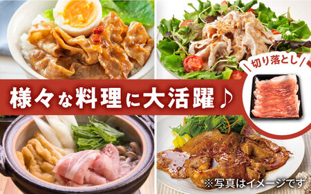 【2026年2月開始】【12回定期便】若楠三元豚 切り落とし 1kg（250g×4パック）/ナチュラルフーズ [UBH076]