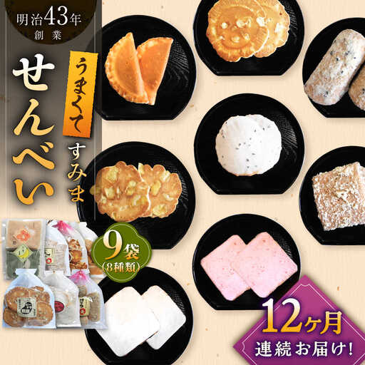 【12回定期便】せんべい バラエティ詰合せ 8種 計9袋 /恵比須堂 [UBQ004] 煎餅