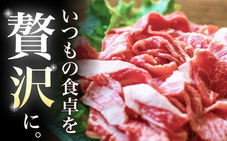 【2026年2月開始】【12回定期便】佐賀牛 バラ 切り落とし 400g（200g×2パック）/ナチュラルフーズ [UBH089]