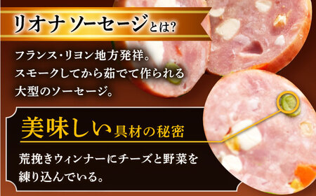 【12回定期便】リオナソーセージ 200g×3本 /宮地ハム [UBM032]