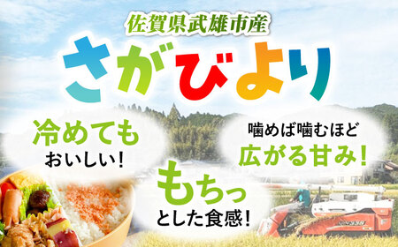 【14年連続特A評価】令和5年産 さがびより 白米 10kg（5kg×2袋）/JA食糧さが [UDS001]  さがびより 白米 米 お米 さがびより 精米 白米 さがびより 佐賀県産 白米 武雄市産 白米 さがびより白米 白米 お米 白米10kg さがびより