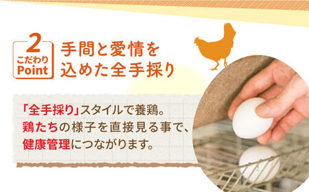【うみたて新鮮】いとう君ちのあっぱれ卵 24個（6個×4パック）ギフトBOX /いとう養鶏場[UAQ001]