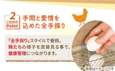 【3回定期便】あっぱれ卵 80個 /いとう養鶏場 [UAQ003] 卵