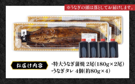 国産 うなぎ蒲焼 特大2尾 /すみまる [UDH039] うなぎ
