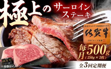 【3回定期便】佐賀牛 サーロインステーキ 500g（250g×2枚） /MKミート武雄[UEM021]