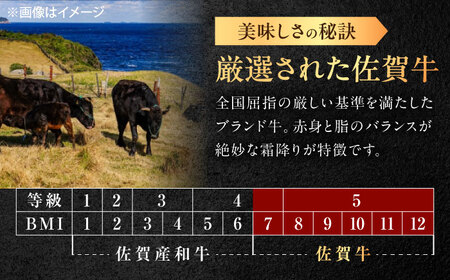 【3回定期便】佐賀牛 サーロインステーキ 500g（250g×2枚） /MKミート武雄[UEM021]