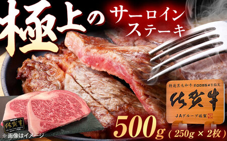 佐賀牛 サーロインステーキ 500g（250g×2枚） /MKミート武雄 [UEM020] ステーキ