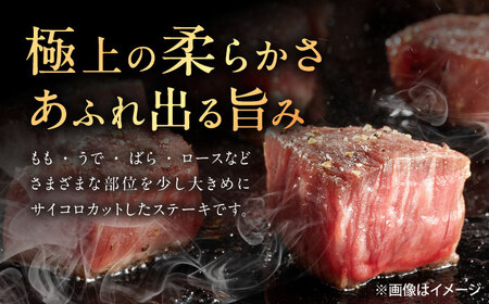 【6回定期便】佐賀牛 サイコロステーキ 500g /MKミート武雄[UEM026]