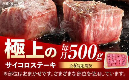 【6回定期便】佐賀牛 サイコロステーキ 500g /MKミート武雄[UEM026]