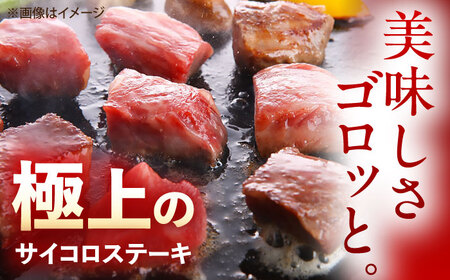 【12回定期便】佐賀牛 サイコロステーキ 500g /MKミート武雄[UEM027]