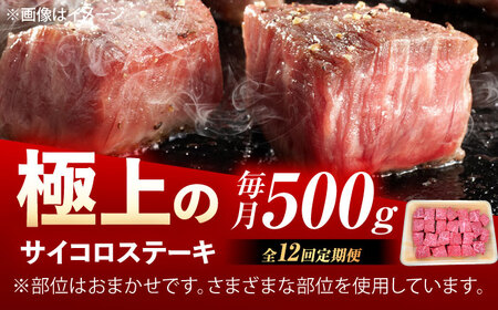 【12回定期便】佐賀牛 サイコロステーキ 500g /MKミート武雄[UEM027]