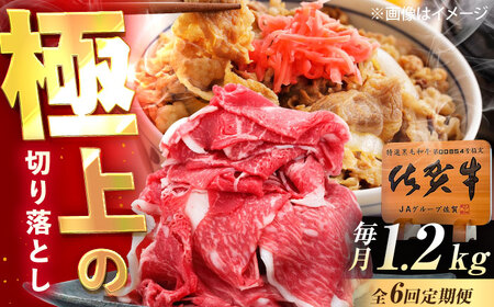 【6回定期便】佐賀牛 切り落とし 1.2kg（600g×2p） /MKミート武雄[UEM036]