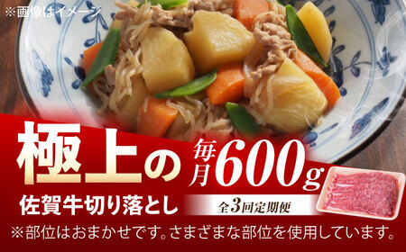 【3回定期便】佐賀牛 切り落とし 600g /MKミート武雄[UEM031]