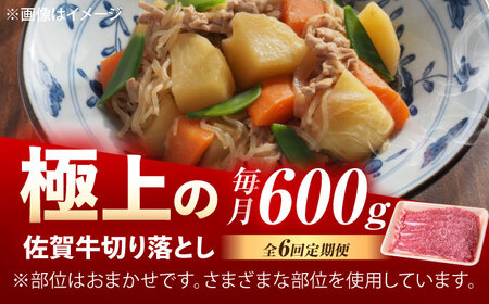 【6回定期便】佐賀牛 切り落とし 600g /MKミート武雄[UEM032]