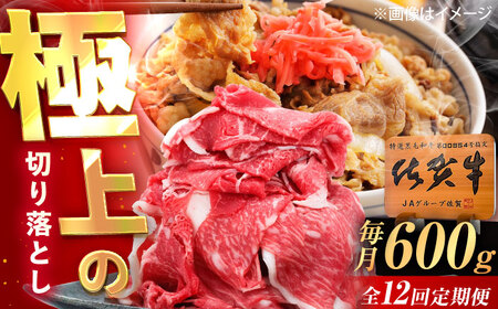 【12回定期便】佐賀牛 切り落とし 600g /MKミート武雄[UEM033]