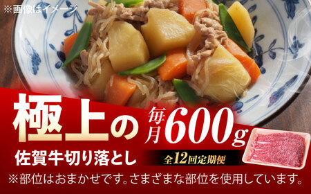 【12回定期便】佐賀牛 切り落とし 600g /MKミート武雄[UEM033]