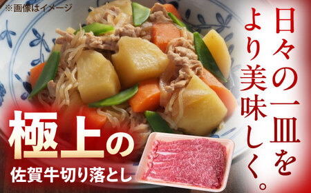 佐賀牛 牛肉切り落とし 1.2kg（600g×2p） /MKミート武雄[UEM034] 牛肉切り落とし