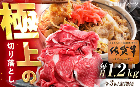 【3回定期便】佐賀牛 切り落とし 1.2kg（600g×2p） /MKミート武雄[UEM035]