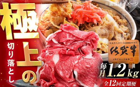 【12回定期便】佐賀牛 切り落とし 1.2kg（600g×2p） /MKミート武雄[UEM037]