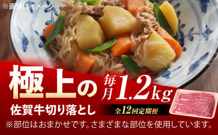 【12回定期便】佐賀牛 切り落とし 1.2kg（600g×2p） /MKミート武雄[UEM037]