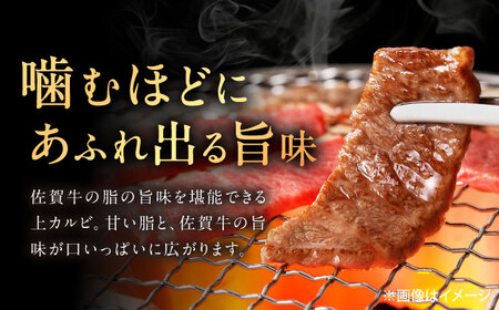 【3回定期便】佐賀牛 上カルビ 焼肉用 500g /MKミート武雄[UEM050]