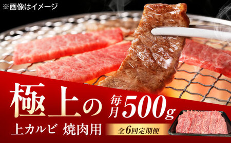 【6回定期便】佐賀牛 上カルビ 焼肉用 500g /MKミート武雄[UEM051]