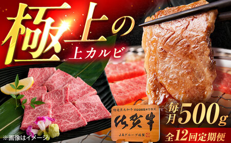 【12回定期便】佐賀牛 上カルビ 焼肉用 500g /MKミート武雄[UEM052]