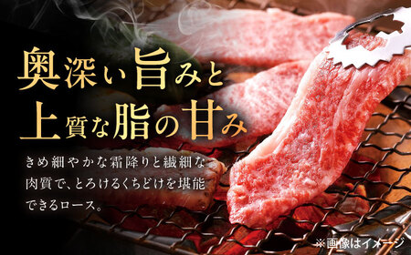 【3回定期便】佐賀牛 ロース 焼肉用 500g /MKミート武雄[UEM055]